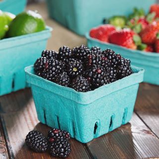 Starting a Home Bakery | How to Start a Home Based Bakery Produce Basket, Party Favor Food, Produce Containers, Produce Baskets, Baked Fruit, Berry Baskets, Marketing Cookies, Vanilla Custard, Food Basket