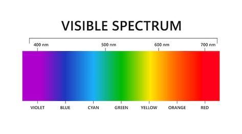 Visible light spectrum electromagnetic v... | Premium Vector #Freepik #vector #spectrum #electromagnetic #color-spectrum #refraction Visible Light Spectrum, Visible Spectrum, Electromagnetic Spectrum, Shingle Colors, Educational Illustration, Body Connection, Color Wave, Human Eye, Color Spectrum