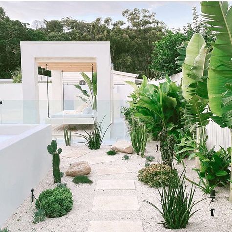 The Palms 🌴 (@thepalms.beachhouse) • Instagram photos and videos Pebble Garden Ideas, White Pebble Garden, Landscaping Makeover, Pebble Garden, The Beach People, Porch Remodel, Tropical Garden Design, Beach People, Pool Landscape Design