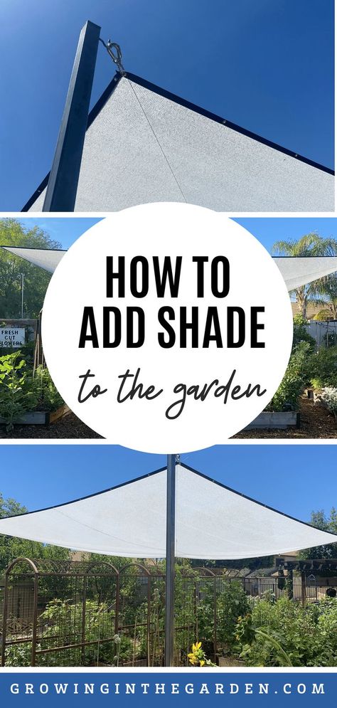 Diy Shade For Garden, Plant Shade Cover Diy, Shade Cloth Garden, Diy Clothesline, Greenhouse Shade Cloth, Backyard Sandbox, Above Ground Garden, Arizona Garden, Garden Sun Shade