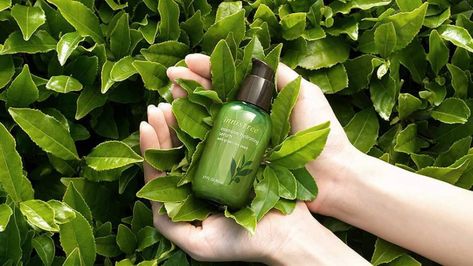 Innisfree Serum, Innisfree Green Tea Seed Serum, Green Tea Seed Serum, Product Aesthetic, K Beauty Routine, Innisfree Green Tea, Green Skincare, All Natural Makeup, Juice Beauty