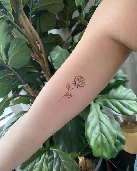 Tattoo by Cholo. Fine Line Rose Tattoo, Line Rose Tattoo, Fine Line Rose, Small Rose Tattoo, Rosen Tattoo, Clock Tattoo, Cute Tattoos For Women, Classy Tattoos, Discreet Tattoos