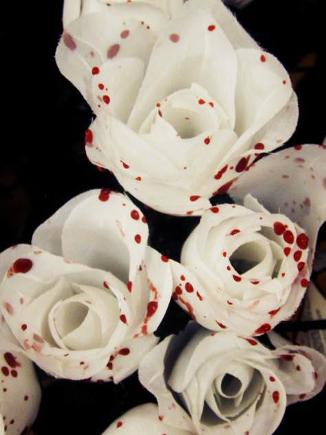 Red On White Aesthetic, Blood Roses Aesthetic, Marshall Seo, White Gothic Aesthetic, White Rose Aesthetic, White And Red Aesthetic, White Roses Aesthetic, Red White Aesthetic, Blood Aesthetics