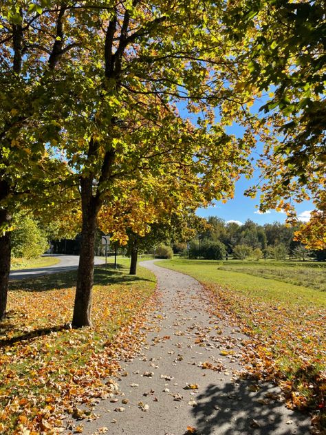 Beginning Of Fall Aesthetic, Autumn Australia Aesthetic, Sunny Autumn Aesthetic, Sunny Fall Aesthetic, Autumn Romanticizing, Autumn Trees Aesthetic, Fall Trees Aesthetic, Early Fall Aesthetic, Florida Autumn