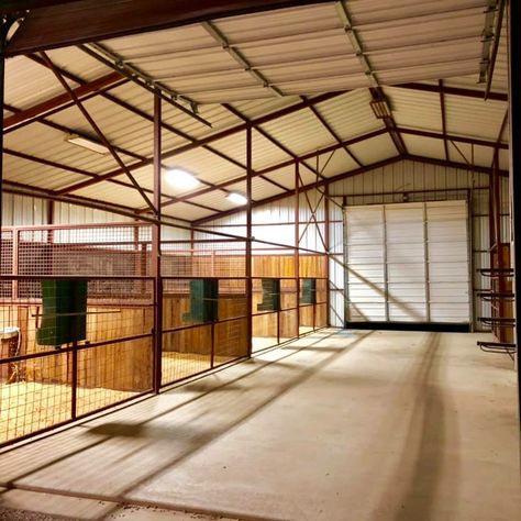 Horse pens horse stalls horse barn Garage With Horse Stalls, Open Horse Stalls, How To Build Horse Stalls, Shop With Horse Stalls, Horse House Ideas, Easy Horse Stalls Diy, Horse Pens Ideas, Simple Horse Stalls, Horse Barn Stalls Ideas