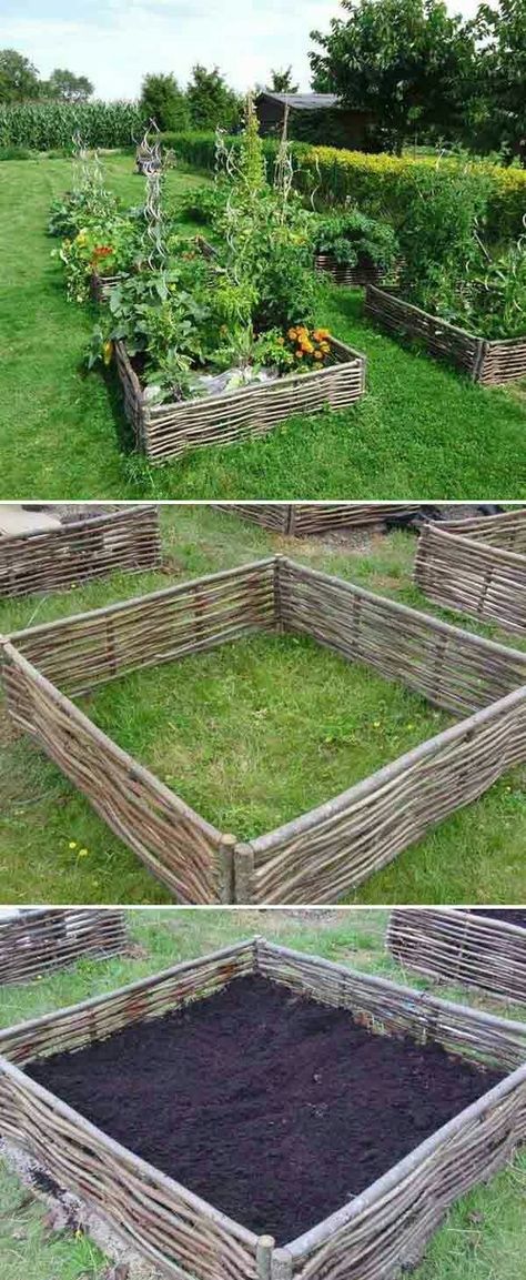 Garden Bed Edging Ideas, Bed Edging Ideas, Garden Bed Edging, Diy Garden Bed, Plants Growing, Edging Ideas, Veg Garden, Have Inspiration, Garden Edging