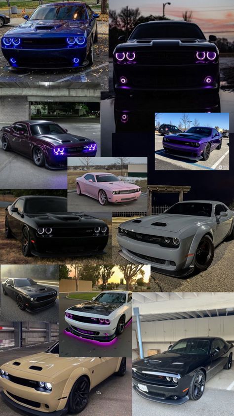 Dodge Challenger collage, #car #cars #dodge #challenger #pretty #dream Illegal Racing Aesthetic, Cars Dodge Challenger, Doge Challenger, Black Dodge Charger, Dodge Challenger Hellcat, Challenger Srt Hellcat, Dodge Challenger Srt Hellcat, Dodge Muscle Cars, Hellcat Challenger