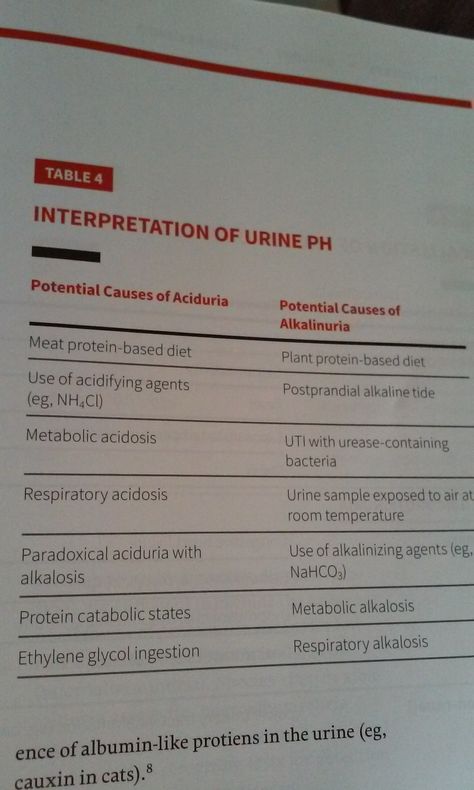 Urinalysis Interpretation, Respiratory Acidosis, Metabolic Acidosis, Vet Med, Veterinary Medicine, Vet Tech, Physical Therapist, Plant Protein, Knowledge Is Power