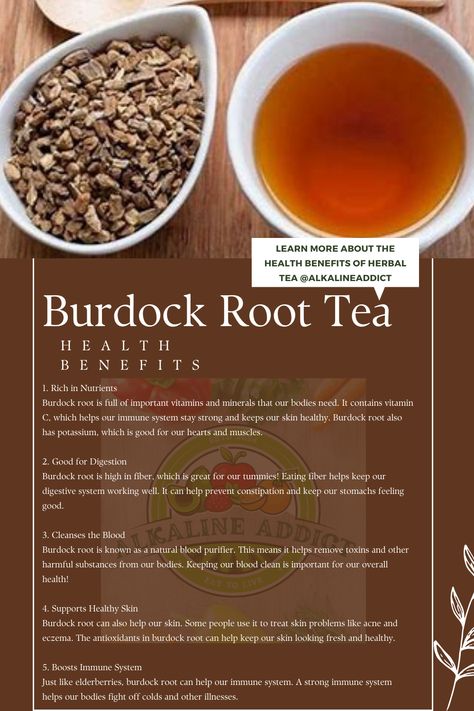 Burdock root is not only a nutritious vegetable but also a wonderful addition to your diet. It can help with digestion, boost your immune system, and support healthy skin. Making burdock root tea at home is easy and fun! #alkaline #burdockroot #tea #herbaltea #diy #recipes Burdock Root Tea Benefits, Burdock Root Recipes, Burdock Plant, Digestion Tea, Burdock Root Benefits, Burdock Root Tea, Help With Digestion, Tea For Digestion, Coffee Vs Tea