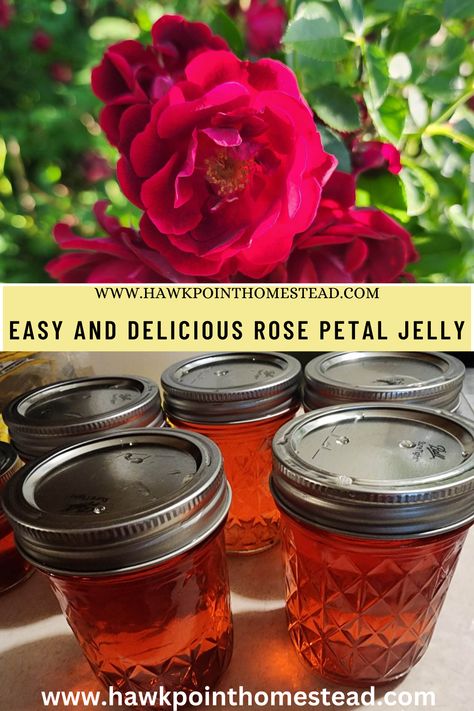 Enjoy the beautiful sweet rose flower jelly with the slight flavor of rose. This homeade rose petal jam made from culinary rose petals would be so delicious with vanilla ice cream! It is so fun to make delicious floral jellies from different edible flowers, and so fun for kids also. The different jellies make great gifts! My recipe made a beautiful red rose petal jelly. Different varieties may make a different color of delicious jelly. Rose Petal Jelly, Rose Petal Jelly Recipe, Rose Jelly Recipe, Apple Blossom Recipe, Rose Petal Recipes, Herbal Business, Flower Jam, Rose Petal Jam, Flower Recipes