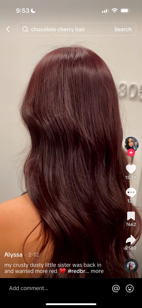 Medium Brown Red Hair Color, Vibrant Brown Hair Color, Chilli Chocolate Hair Colour, Level 4 Red Hair, Dark Brown Red Hair With Highlights, Dark Red Hair Color Ideas For Brunettes, Dark Red On Brown Hair, Slightly Red Brown Hair, Mahogany Copper Brown Hair Color