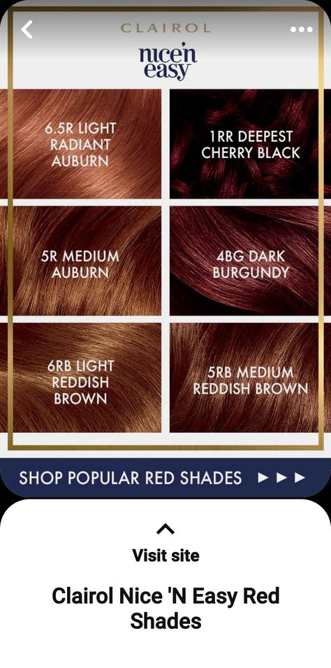 Redish Brown Hair, Reddish Brown Hair Color, Color Trends 2024, Black Cherry Hair, Spring Hair Color Trends, Natural Balayage, Reddish Brown Hair, Cherry Hair, Dark Auburn