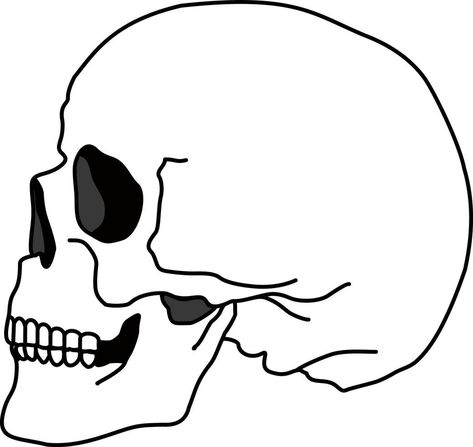 Skull bone face. Side view. Skull icon. Black and white cartoon smiling cute human skeleton head, vector illustration. Spooky skeleton dead head sketch Skull Side View, Face Side View, Side View Of Face, Head Sketch, Skull Icon, Cartoon Skull, Cartoon Smile, Cute Human, White Cartoon