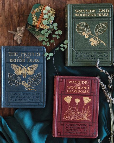 L'escargot | Book Collector on Instagram: “more nature. ready for this weekend. what do you think?!” Book Layout, Vintage Book Covers Diy, Book Covers Diy, Apothecary Book, Apothecary Aesthetic, Book Rebinding, Book Layouts, Raindrops And Roses, Bubble Bubble