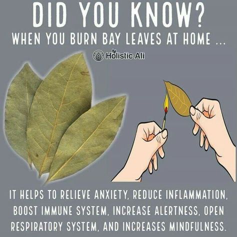 Burn Bay Leaves, Burning Bay Leaves, Magia Das Ervas, रोचक तथ्य, Herbal Magic, Bay Leaves, Nutrition Education, Edible Plants, Healing Herbs