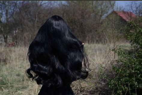 Long Black Hair, Long Black, Black Hair, Follow Me, Trees, Hair, Black