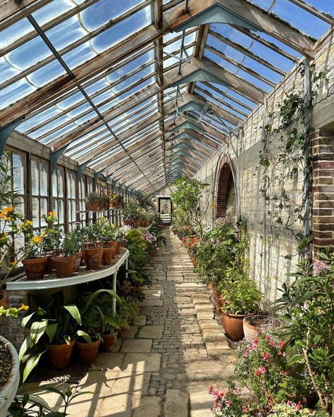 Martin Brudnizki, Stone Walls Garden, Dream Backyard Garden, Earthship Home, Greenhouse Interiors, Home Greenhouse, Hot House, Backyard Greenhouse, House In Nature