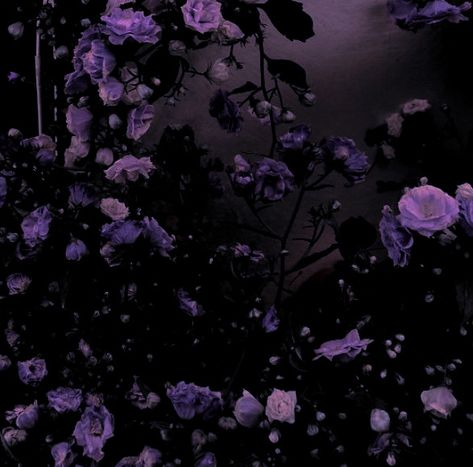 Dark Purple Roses Aesthetic, Purple Violet Aesthetic, Dark Purple Aethstetic, Delia Core Aestethic, Colorful Dark Aesthetic, Fischl Aesthetic Core, Montana Grape Aesthetic, Gothic Aesthetic Purple, Dark Feminine Aesthetic Purple