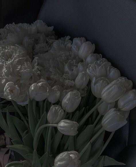 Grey And White Asethic, Black And White Asethic, Dark Asethic, Dark Feeds, Dark White, Dark Paradise, Gray Aesthetic, White Tulips, Black Aesthetic Wallpaper