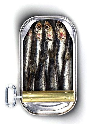 Benefits Of Sardines, Foods For Heart Health, Iphone 4s Case, Iphone 4 Case, Photo Vintage, Fish Painting, Fish Art, Art Journals, Food Styling