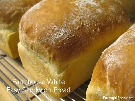 Does anything taste better than a BLT on old-fashioned, homemade bread ?    The… Easy Sandwich Bread Recipe, White Sandwich Bread, Recipe Keeper, Honey Wheat Bread, Loaves Of Bread, White Bread Recipe, Sandwich Bread Recipes, Honey Wheat, Farmhouse White