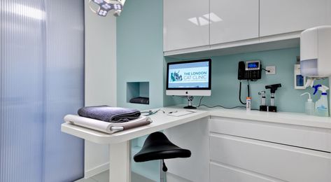 The London Cat Clinic - ACD Projects Veterinarian Interior Design, Vet Practice Design, Pet Clinic Design, Veterinary Clinic Ideas, Vet Clinic Ideas, Vet Clinic Design, Veterinary Clinic Design, Vet Practice, Vet Hospital