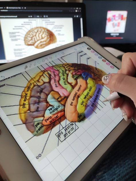 neuro studying on the ipad Ipad Notes, Night Shift Nurse, Note Ideas, Medicine Student, Science Notes, Med Student, Study Aesthetic, Study Inspo, Night Shift