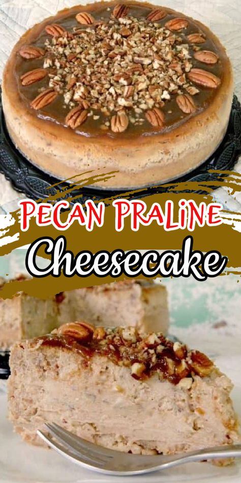 A rich, dense cheesecake filled with pecans. True praline flavor all the way through and the top never cracks! #cheesecake #recipe #pecan #thanksgiving No Bake Pecan Praline Cheesecake, Cheesecake Factory Copycat Pumpkin Pecan Cheesecake, Praline Cheesecake Recipes, Praline Pecan Cheesecake, Pecan Praline Cheesecake Recipe, Pecan Praline Cheesecake, Dense Cheesecake, Praline Recipes, Pecan Cheesecake Recipes