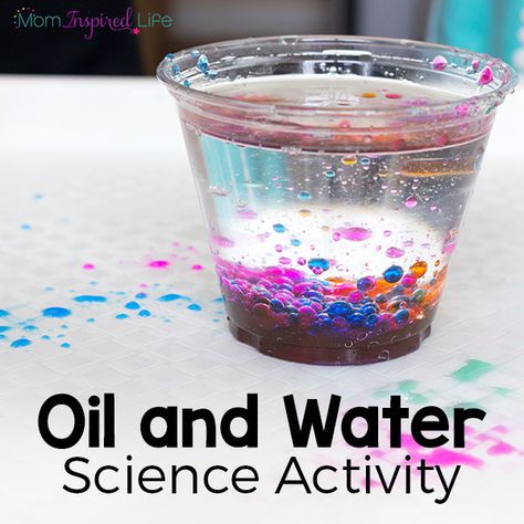 Oil And Water Experiment, Kindergarten Science Activities, Pre-k Science, Water Experiments, Science For Toddlers, Preschool Science Activities, Science Experiments For Preschoolers, Science Activity, Kid Experiments