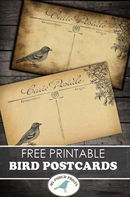 What's On My Porch: Freebie Friday: Bird Postcards Mini Books Tutorial, Valentine Craft Ideas, Journal Printables Free, My Porch Prints, Fashion Maker, Beach Fitness, Printable Postcards, Photography Friends, Adidas Alphabounce