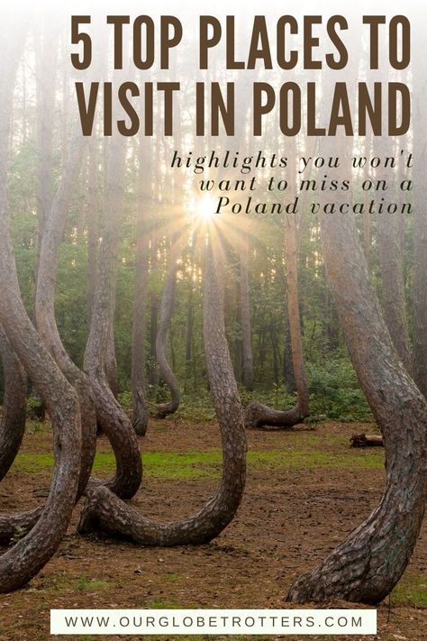 Plan your trip to Poland - here are 5 interesting places you'll want to include on a Poland itinerary picking up on the country's intriguing history and natural wonders | Poland vacation | Europe vacation ideas | Our Globetrotters Poland Road Trip, Poland Itinerary, Poland Beach, Poland Nature, Poland Vacation, Poland Culture, Travel Poland, Vacation Europe, Germany Poland