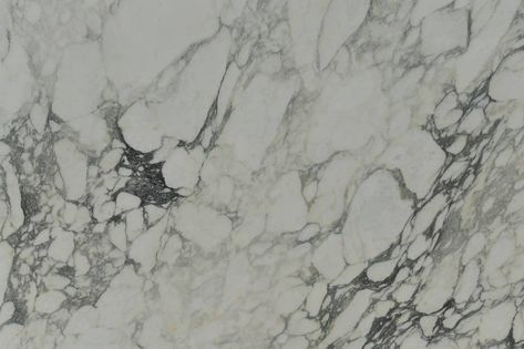 Arabescato Verde Polished : Bemarmi Arabescato Vagli, Dark Emperador, Calacatta Gold, Floor Colors, Marble Texture, Grey Stone, London Blue, Things To Buy, Midnight Blue