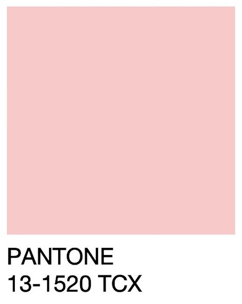 Pantone Rose, Pantone Rose Quartz, Color Pallets, Rose Quartz, Photographic Print, Card Making, Print Design, Canvas Print, Canvas Prints