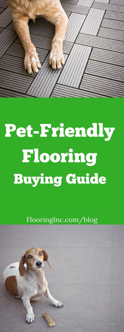 This ultimate Pet-Friendly Flooring Buying Guide will help you find a floor that is both comfortable for pets and resilient to their paws, claws and hooves - while still adding style to your space. New Flooring Ideas, Dog Friendly Flooring, Pet Friendly Flooring, Accent Wall Stencil, Grey Wood Floors, Cheap Flooring, Hallway Carpet Runners, Flooring Inspiration, Paws And Claws