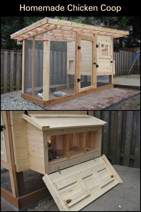 If you're keeping chickens in your backyard, it's important for you to provide protection from predatory animals and space to sleep at night.  Building your chooks a chicken coop is a given and here's one that you can build right in your backyard. It's also designed to make it easy for you to collect eggs - think of it as your chickens paying rent! ;) Homemade Chicken Coop, Chicken House Plans, Reban Ayam, Night Building, Garden Concept, Cute Chicken Coops, Small Chicken Coops, Chicken Coop Garden, Easy Chicken Coop