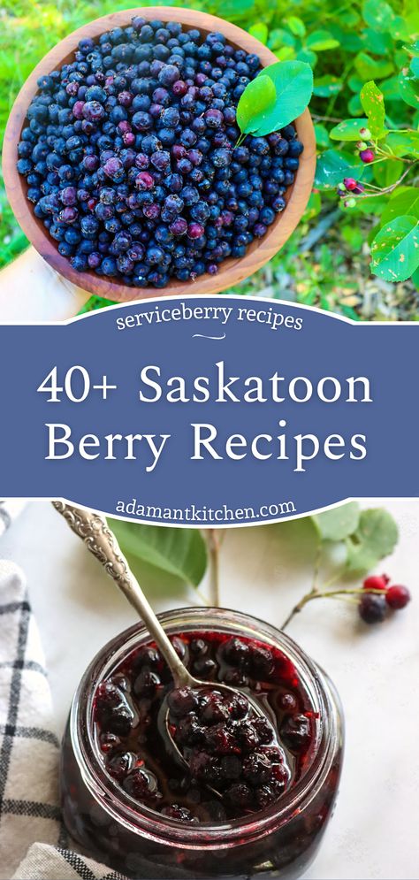 Saskatoon Berry Crisp Recipe, Saskatoon Syrup Recipe, Saskatoon Berry Jam Recipe, June Berry Recipes, Saskatoon Desserts, Saskatoon Berry Tarts, Service Berry Recipes, Saskatoon Jam Recipe, Juneberry Recipes