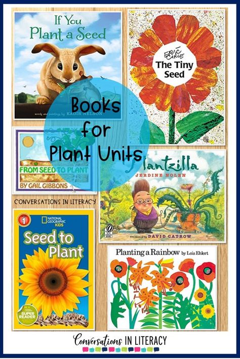 Science Writing Activities, Plant Unit Kindergarten, Plants Life Cycle, Plants Life Cycle Activities, Plants Kindergarten, Kindergarten Units, Life Cycles Activities, Plants Unit, Plant Activities