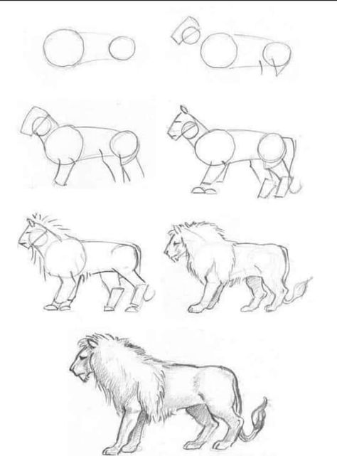 Kids Drawing Easy, Drawing Easy Step By Step, Lion Sketch, Drawing Ideas For Kids, Dog Line Art, Lion Drawing, Drawing Tutorials For Kids, Bio Art, Princess Drawings