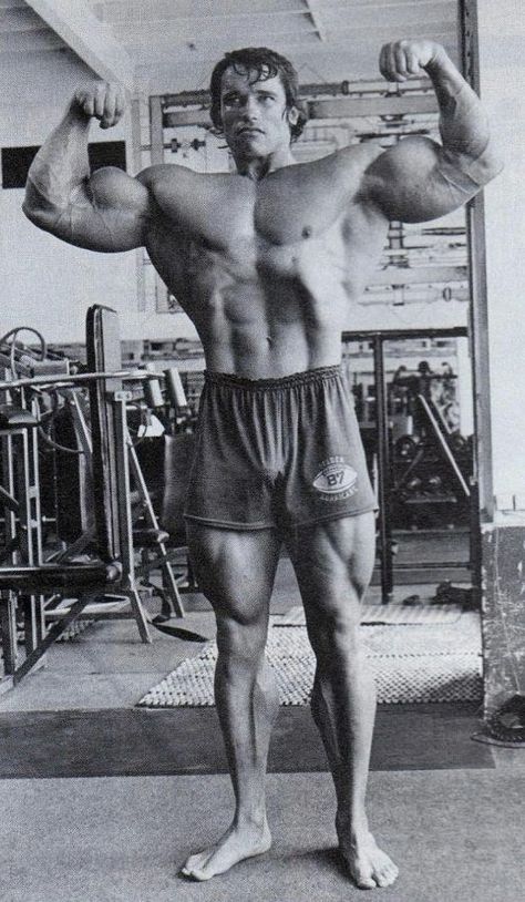 Arnold Schwarzenegger Gym, Arnold Bodybuilding, Arnold Photos, Gym Icon, Women Muscle, Arnold Schwarzenegger Bodybuilding, Schwarzenegger Bodybuilding, Girl Training, Female Bodybuilder