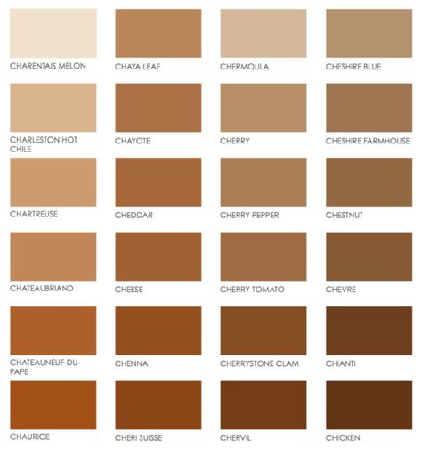 Colour Shade Card, Nude Color Palette, Brown Paint Colors, Vintage Colour Palette, Color Design Inspiration, Hair Salon Decor, House Color Palettes, Brown Color Palette, Colors For Skin Tone