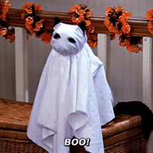 Sabrina The Teenage Witch, Aesthetic Profile, Halloween Vibes, Profile Pics, Ariana Grande, Black Cat, Ghost, Witch, Gif