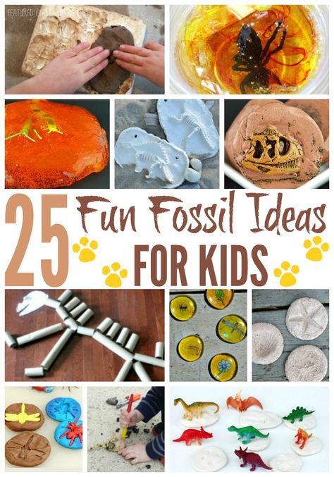 25 Fun Fossil Ideas For Kids Fossil Ideas, Fossils Lesson, Fossils Activities, Archaeology For Kids, Yellow Crafts, Dinosaur Train, Rocks And Fossils, Dinosaur Activities, Dinosaur Crafts