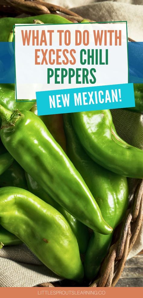 What To Do With Chili Peppers, What To Do With Peppers From The Garden, Sweet Heat, Chilli Pepper, New Mexican, Food Preservation, Peppers Recipes, Tasty Bites, Chili Peppers