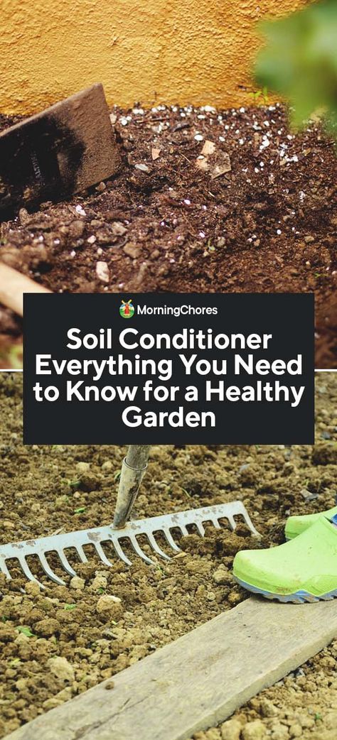 Soil Conditioner: Everything You Need to Know for a Healthy Garden Healthy Garden Soil, Rural Property, Healthy Soil, Vegetable Benefits, Soil Conditioner, Landscaping Software, Garden Help, Living Off The Land, Sandy Soil