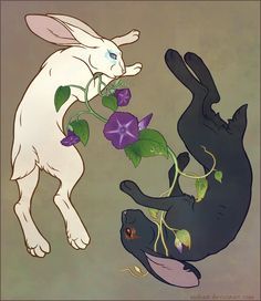 White Spirit, Rabbits, Deviantart, Off White, Flowers, White