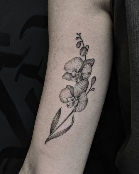 Minataur Tattoo, Clementine Tattoo, Botanical Tattoos, Bee Tattoos, Orchid Tattoo, Orchid Pot, Botanical Tattoo, Tattoo Portfolio, Bee Tattoo