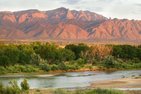 Each year, the Southwest's major river gets drier and drier. A first-of-its-kind donation from local Native American tribes could change that. New Mexico Aesthetic, Sandia Mountains, New Mexico Road Trip, Duke City, Mexico Style, Albuquerque News, Mexico Culture, Land Of Enchantment, New Mexican