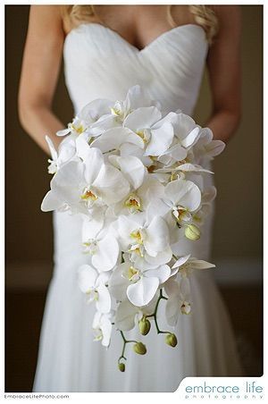 White Orchid Bouquet, Orchid Bridal Bouquets, Orchid Bouquet Wedding, Brides Flowers Bouquet, Elegant Wedding Bouquets, Cascading Wedding Bouquets, Red Bouquet Wedding, Bride's Bouquet, Orchid Bouquet