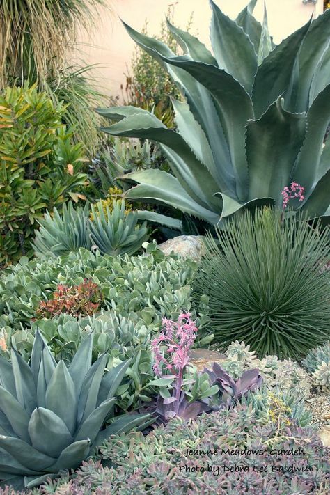 Poolside Plants, Hydrangea Aesthetic, Hillside Pool, Greens Garden, Xeriscape Landscaping, Pool Bed, Garden River, Conservatory Greenhouse, Lawn Landscape