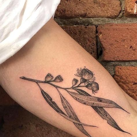 Freehand by Lilli @honeytripper Gum Leaves Tattoo, Native Flowers Tattoo, Eucalyptus Leaves Tattoo, Wildflower Sleeve, Manu Tattoo, Eucalyptus Tattoo, Contemporary Tattoo, Botanical Tattoo Design, Tattoo 2022